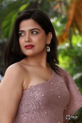 Ayesha Singh at Yedu Chepala Katha Movie Prees Meet